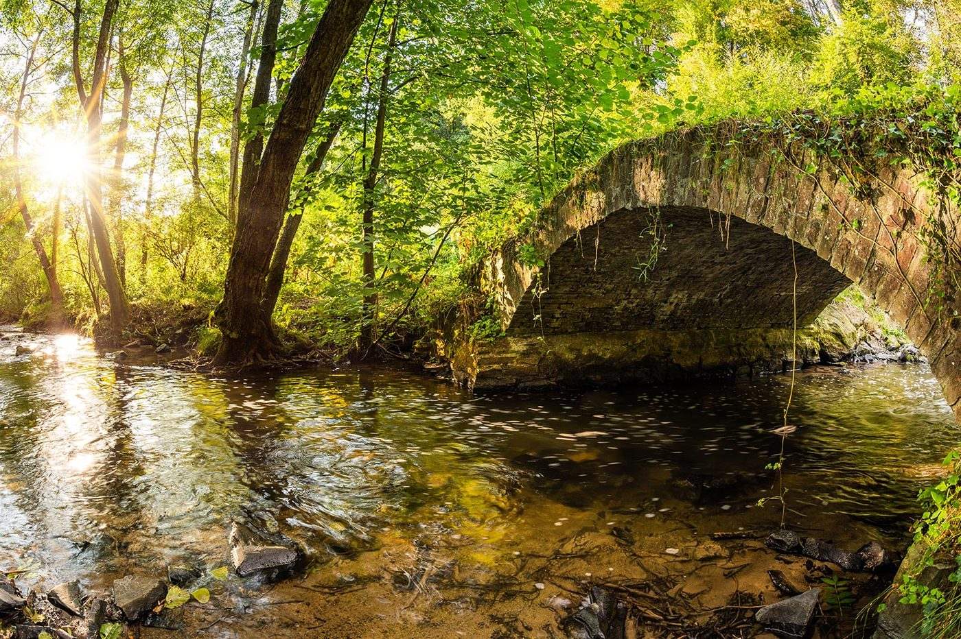 Bachlauf mit Steinbogen, Sinnbild für die goldene Brücke zur Natur
