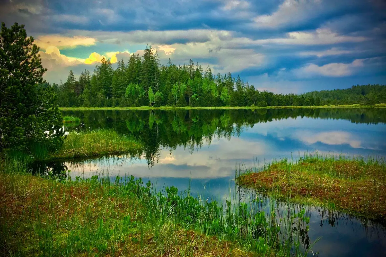 Ruhiger Teich unter Wolkenhimmel mit Wald am Ufer